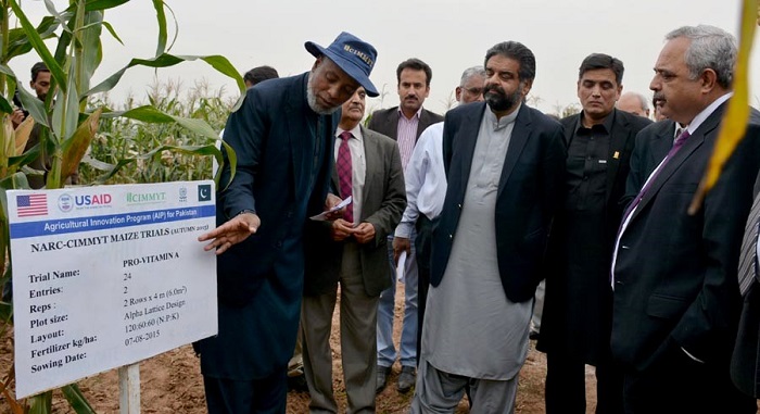 Dr. Abdur Rahman Beshir explaining benefits of new hybrid maize seeds to Minister Sikandar Hayat Khan Bosan at a maize field day visit at NARC in Islamabad