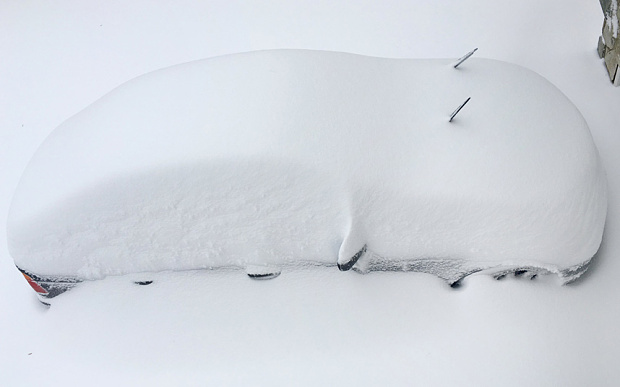 A car is buried in snow from an overnight snowstorm inside Washington DC Beltway in Annandale, Virginia  Photo: REUTERS/Hyungwon Kang