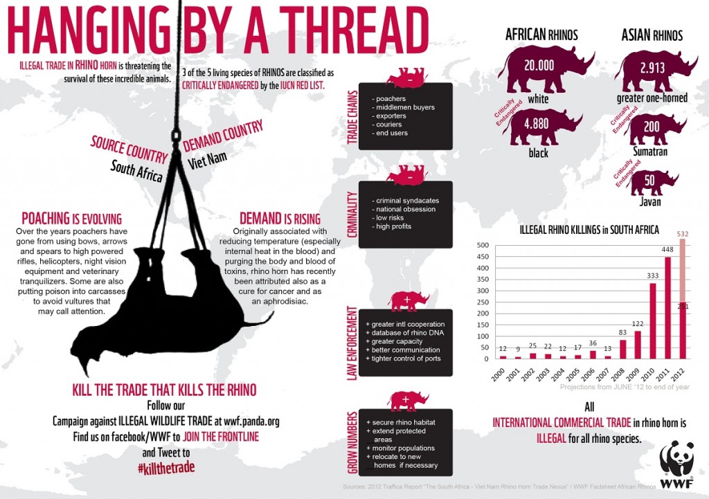 Alarming rhino infographic