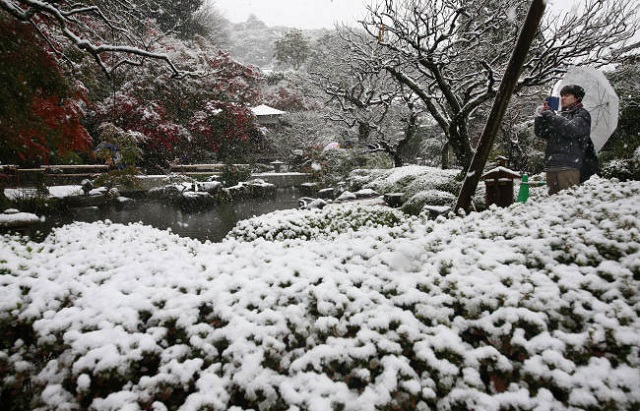 Tokyo gets November snow for first time in 54 years