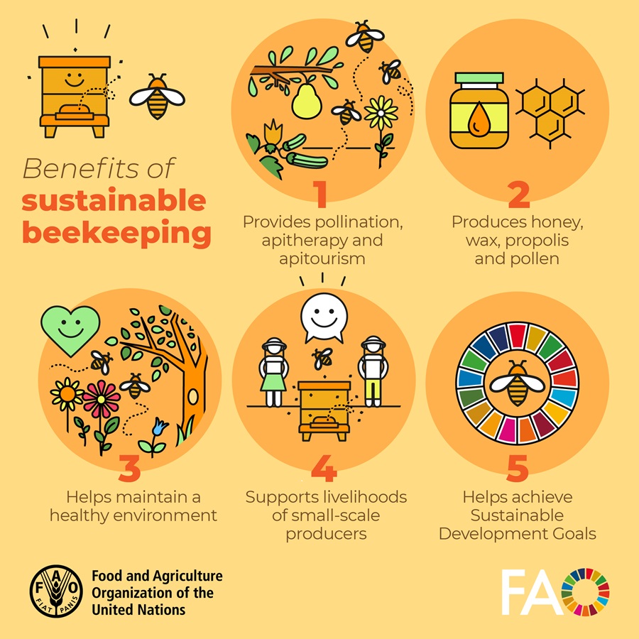 Benefits of sustainable beekeeping