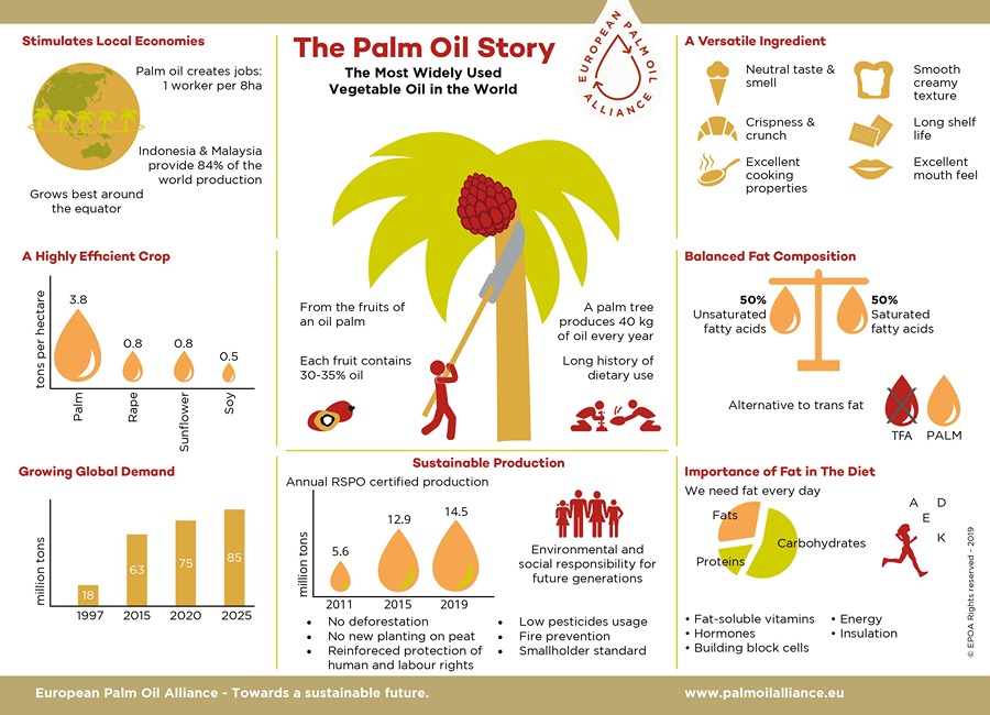 Palm oil story
